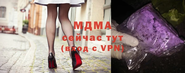 хмурый Аркадак