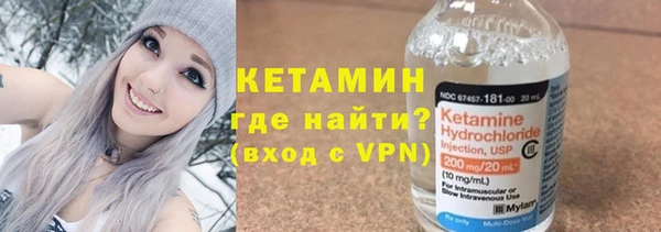 хмурый Аркадак