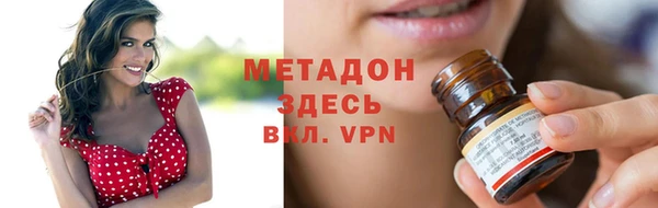 хмурый Аркадак