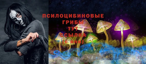 хмурый Аркадак