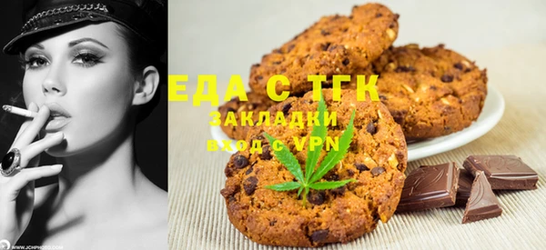 хмурый Аркадак