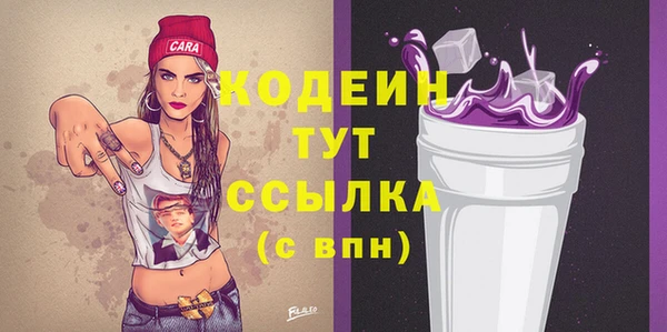хмурый Аркадак