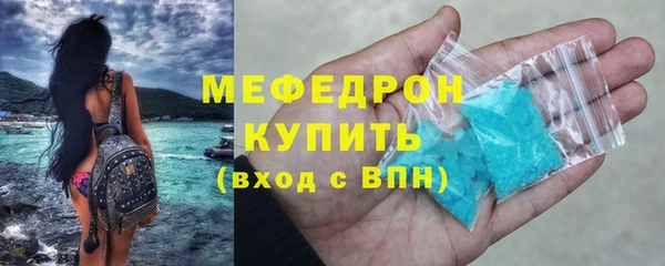 хмурый Аркадак
