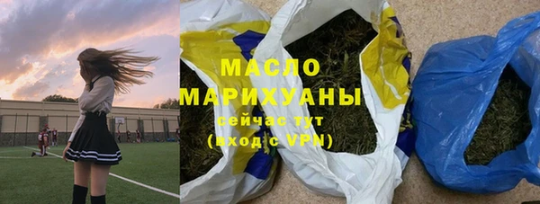 хмурый Аркадак
