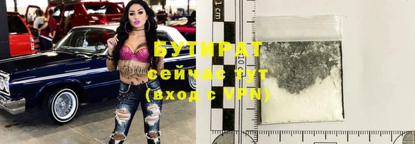 хмурый Аркадак